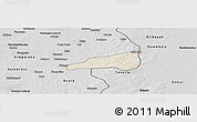 Shaded Relief Panoramic Map of Mafoune, desaturated