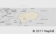 Shaded Relief Panoramic Map of Yanfolila-Central, desaturated