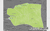 Physical 3D Map of Gourma-Rharous, darken, desaturated