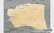 Satellite 3D Map of Gourma-Rharous, darken, desaturated