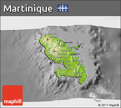 Physical 3D Map of Martinique, darken, desaturated