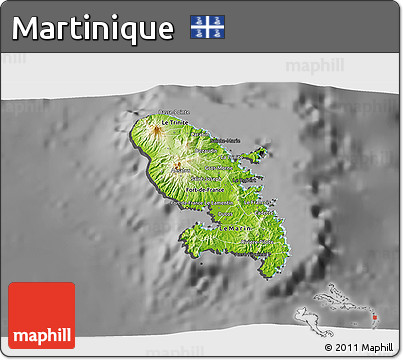 Physical 3D Map of Martinique, darken, desaturated