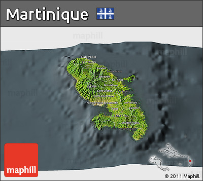 Satellite 3D Map of Martinique, darken, semi-desaturated