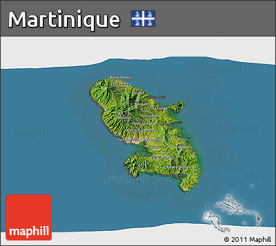 Satellite 3D Map of Martinique, darken, semi-desaturated, land only