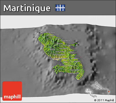 Satellite 3D Map of Martinique, desaturated