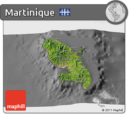 Satellite 3D Map of Martinique, desaturated