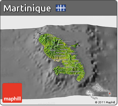 Satellite 3D Map of Martinique, desaturated