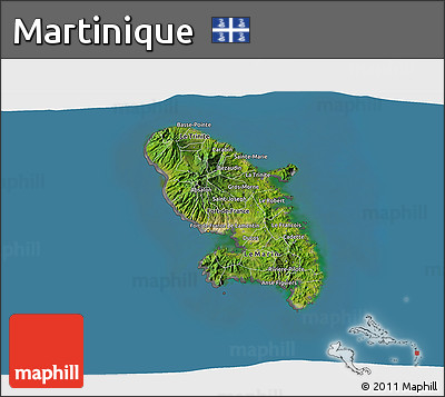 Satellite 3D Map of Martinique, desaturated, land only