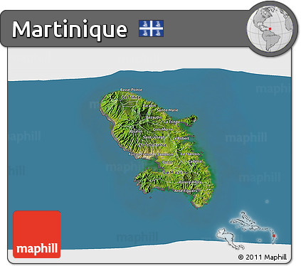 Satellite 3D Map of Martinique, desaturated, land only