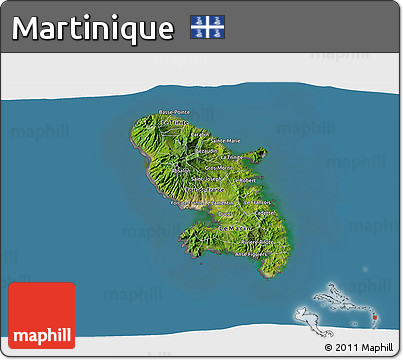 Satellite 3D Map of Martinique, desaturated, land only