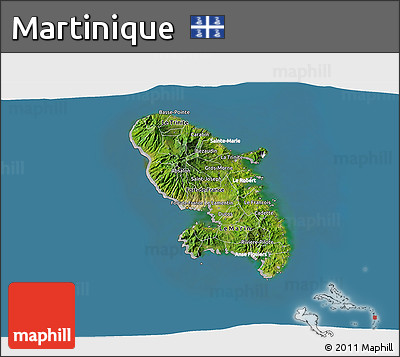 Satellite 3D Map of Martinique, lighten, desaturated, land only