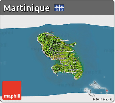 Satellite 3D Map of Martinique, lighten, desaturated, land only