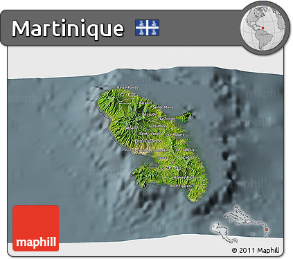 Satellite 3D Map of Martinique, semi-desaturated