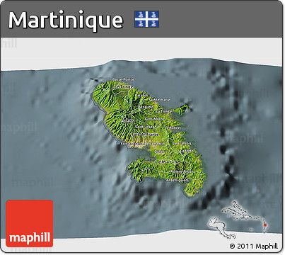 Satellite 3D Map of Martinique, semi-desaturated