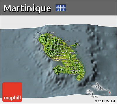 Satellite 3D Map of Martinique, semi-desaturated