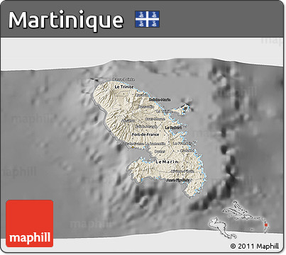 Shaded Relief 3D Map of Martinique, darken, desaturated