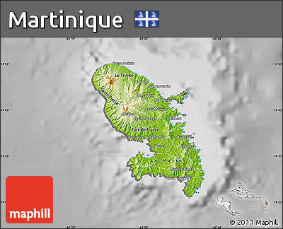 Physical Map of Martinique, desaturated