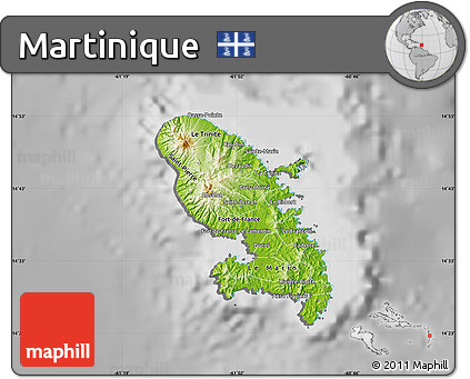 Physical Map of Martinique, desaturated