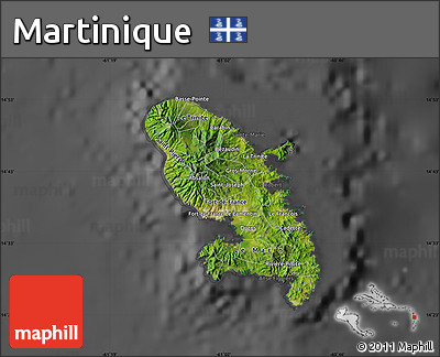 Satellite Map of Martinique, darken, desaturated