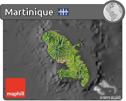 Satellite Map of Martinique, darken, desaturated
