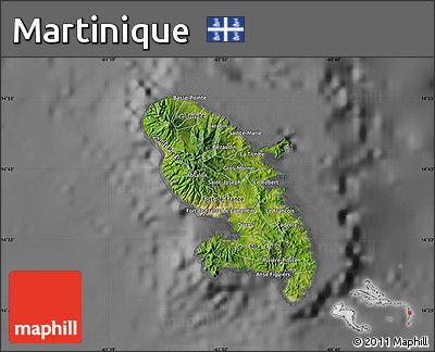 Satellite Map of Martinique, desaturated