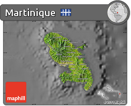Satellite Map of Martinique, desaturated