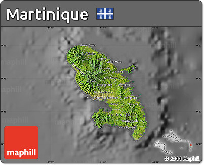 Satellite Map of Martinique, desaturated