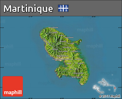 Satellite Map of Martinique, desaturated, land only