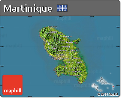 Satellite Map of Martinique, desaturated, land only