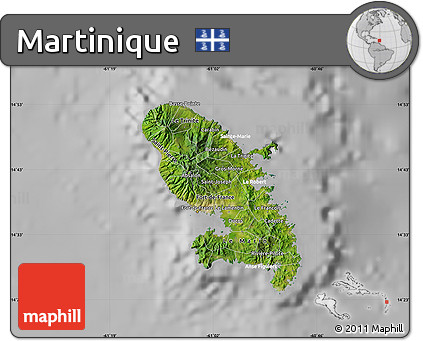 Satellite Map of Martinique, lighten, desaturated