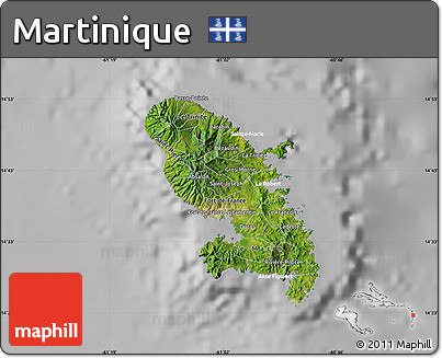 Satellite Map of Martinique, lighten, desaturated