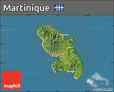 Satellite Map of Martinique, lighten, semi-desaturated, land only