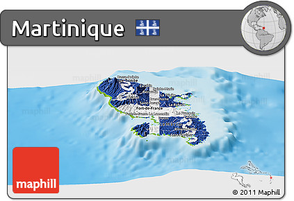 Flag Panoramic Map of Martinique, physical outside