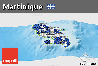 Flag Panoramic Map of Martinique, physical outside