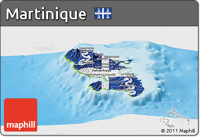 Flag Panoramic Map of Martinique, physical outside