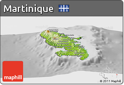 Physical Panoramic Map of Martinique, desaturated