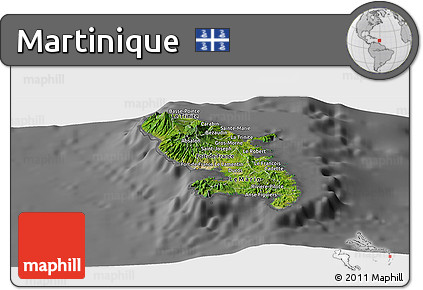 Satellite Panoramic Map of Martinique, desaturated