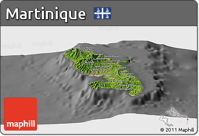 Satellite Panoramic Map of Martinique, desaturated