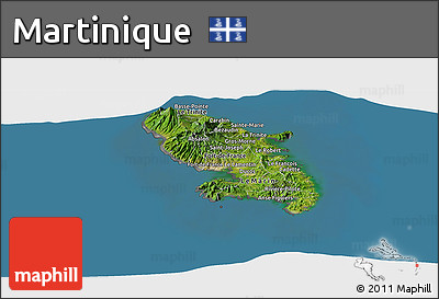 Satellite Panoramic Map of Martinique, desaturated, land only