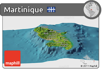 Satellite Panoramic Map of Martinique