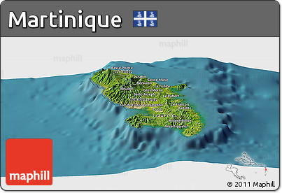 Satellite Panoramic Map of Martinique