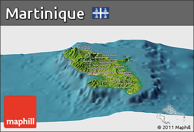 Satellite Panoramic Map of Martinique