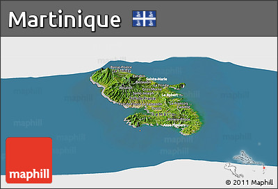 Satellite Panoramic Map of Martinique, lighten, desaturated, land only