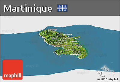 Satellite Panoramic Map of Martinique, lighten, land only