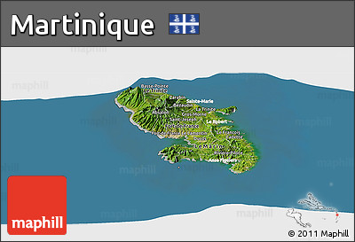 Satellite Panoramic Map of Martinique, lighten, semi-desaturated, land only