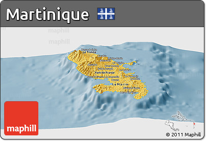 Savanna Style Panoramic Map of Martinique