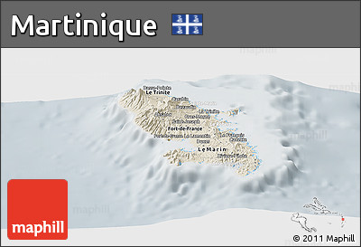 Shaded Relief Panoramic Map of Martinique, lighten, semi-desaturated