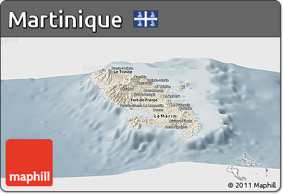 Shaded Relief Panoramic Map of Martinique, semi-desaturated