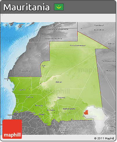 Physical 3D Map of Mauritania, desaturated, land only