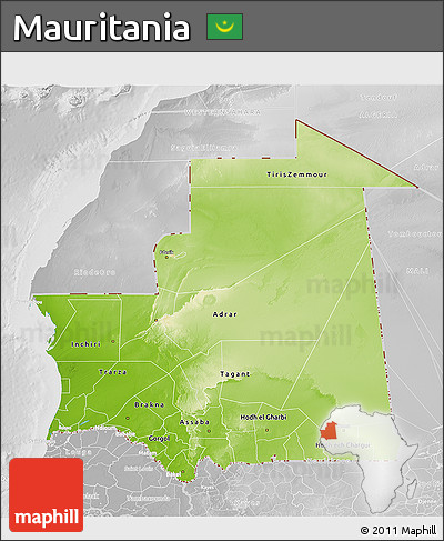 Physical 3D Map of Mauritania, lighten, desaturated
